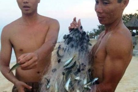 Du lịch biển Quảng Bình có dấu hiệu phục hồi trở lại