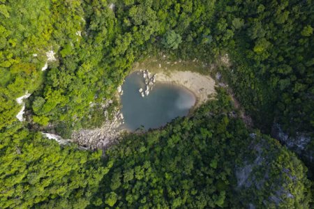 Khám phá rừng nguyên sinh Phong Nha