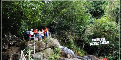 Phong Nha Botanic Garden điểm du lịch sinh thái hấp dẫn tại Phong Nha