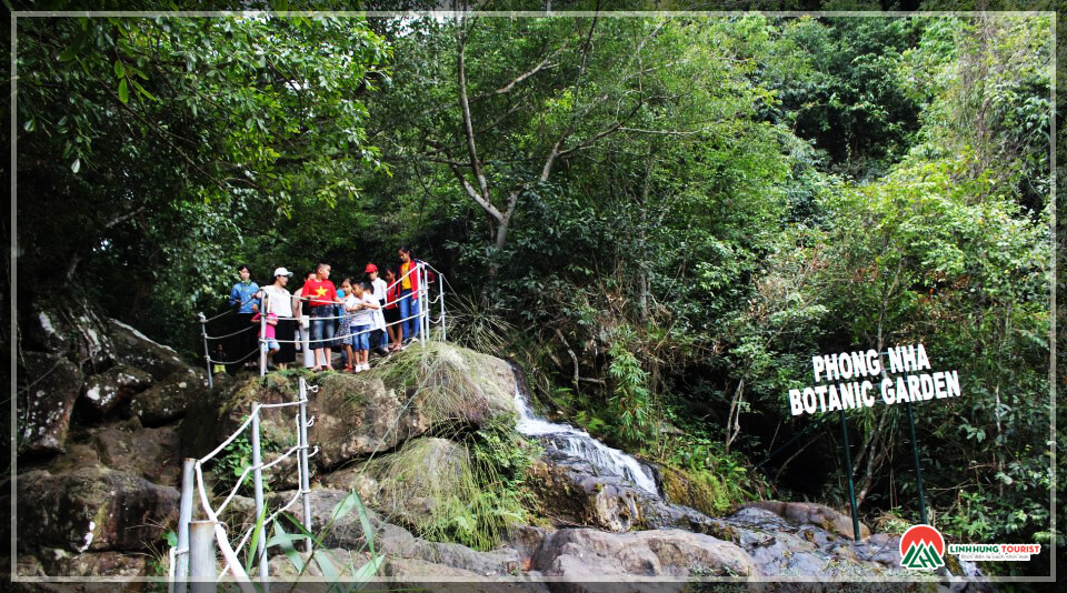 Phong Nha Botanic Garden điểm du lịch sinh thái hấp dẫn tại Phong Nha