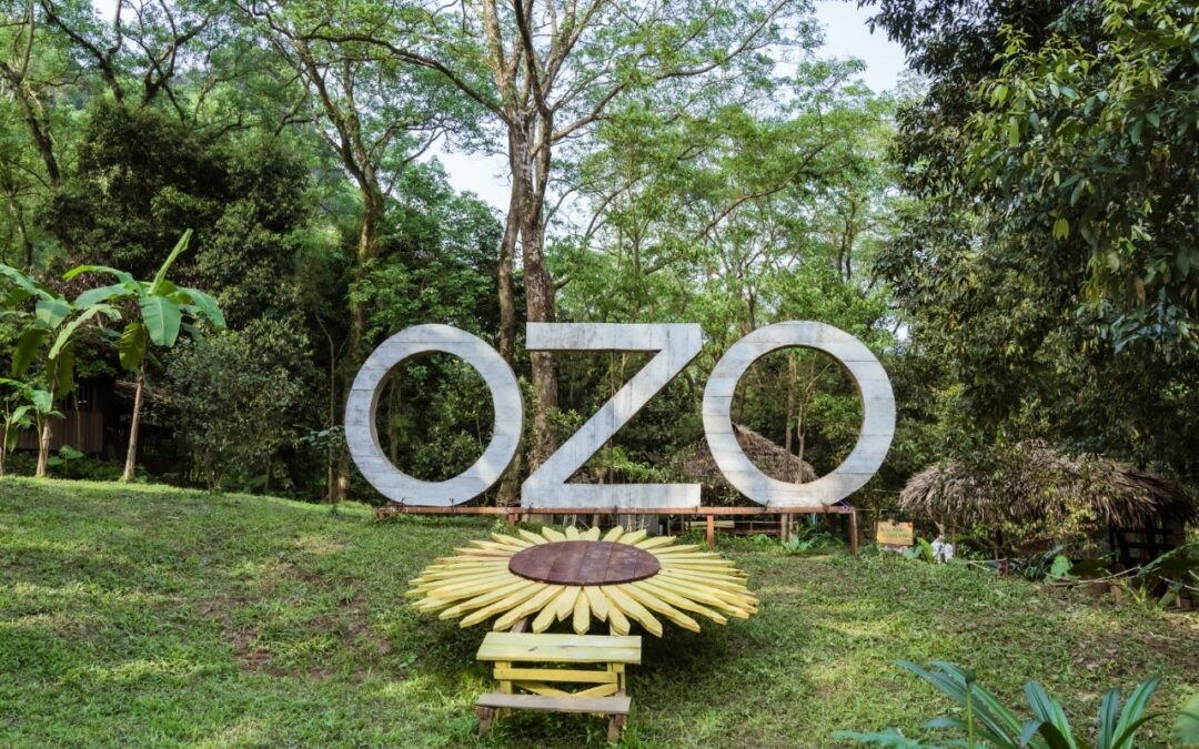 Tour động Phong Nha – Hang Chỉ Huy – Ozo Park 1 ngày
